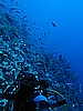 IMG_2389.JPG