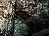 IMG_2392.JPG