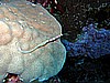 IMG_2397.JPG