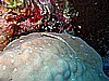 IMG_2399.JPG