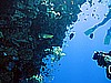 IMG_2406.JPG