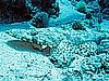 IMG_2425.JPG