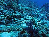 IMG_2427.JPG