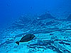 IMG_2428.JPG
