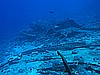 IMG_2429.JPG