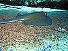 IMG_2433.JPG