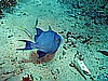 IMG_2435.JPG