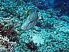 IMG_2436.JPG