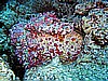 IMG_2440.JPG