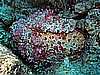 IMG_2441.JPG