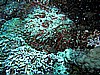 IMG_2442.JPG