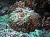 IMG_2444.JPG