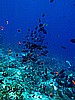 IMG_2446.JPG