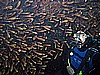 IMG_2448.JPG