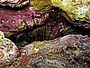 IMG_2455.JPG