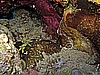 IMG_2457.JPG