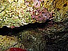 IMG_2459.JPG