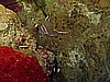 IMG_2463.JPG