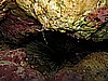 IMG_2464.JPG