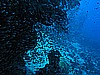 IMG_2465.JPG