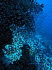 IMG_2466.JPG
