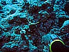 IMG_2467.JPG