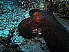 IMG_2472.JPG