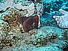 IMG_2477.JPG