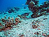 IMG_2480.JPG