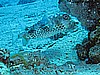 IMG_2481.JPG