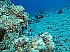 IMG_2482.JPG