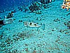 IMG_2483.JPG