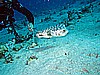 IMG_2484.JPG