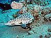 IMG_2485.JPG