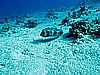 IMG_2486.JPG