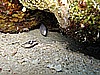 IMG_2491.JPG