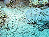 IMG_2493.JPG