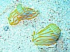 IMG_2495.JPG