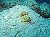 IMG_2500.JPG