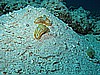 IMG_2501.JPG