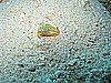 IMG_2502.JPG