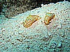 IMG_2503.JPG