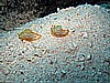 IMG_2507.JPG