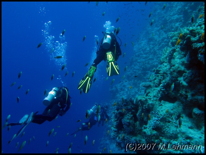 IMG_2588.JPG