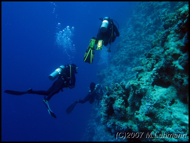IMG_2589.JPG