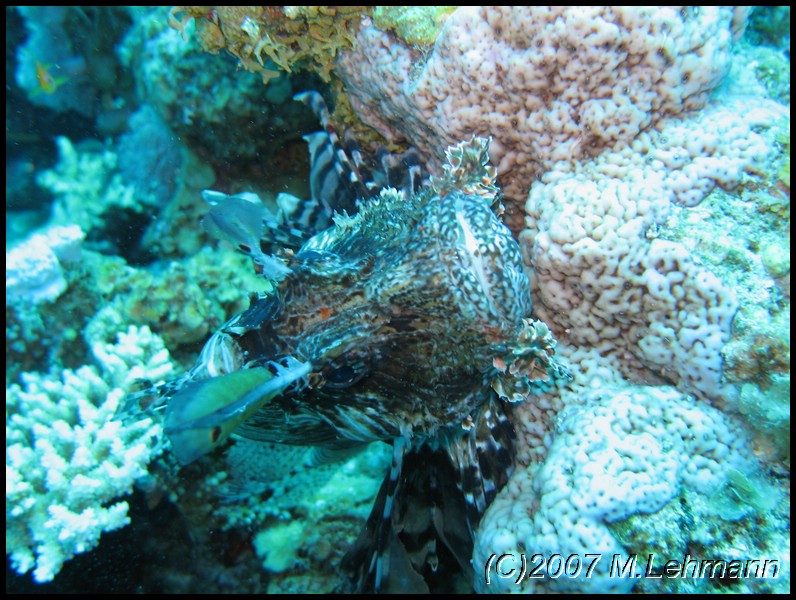IMG_2646.JPG
