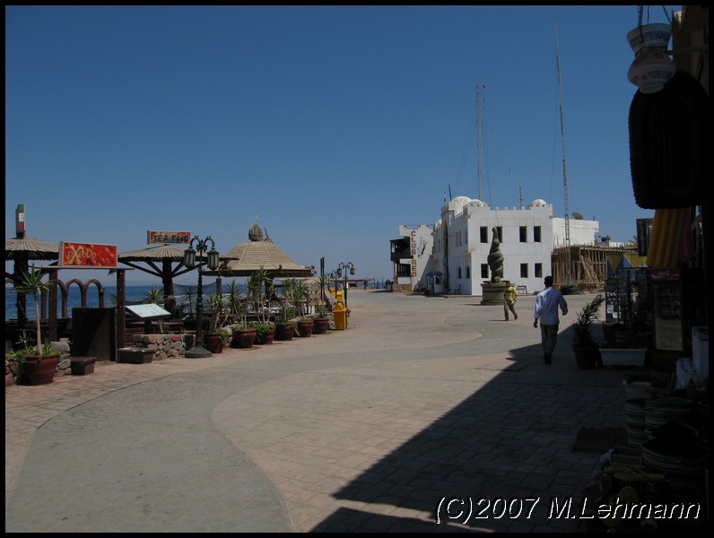 IMG_2665.JPG