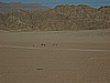 IMG_2539.JPG