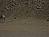IMG_2549.JPG