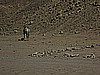 IMG_2550.JPG